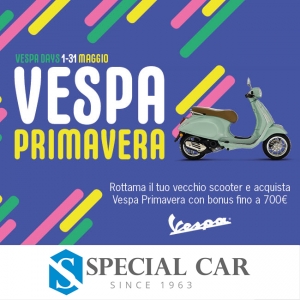 Rottamazione Vespa Primavera